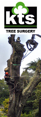 KTS Tree Surgery