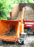 Tree Branch Shredding